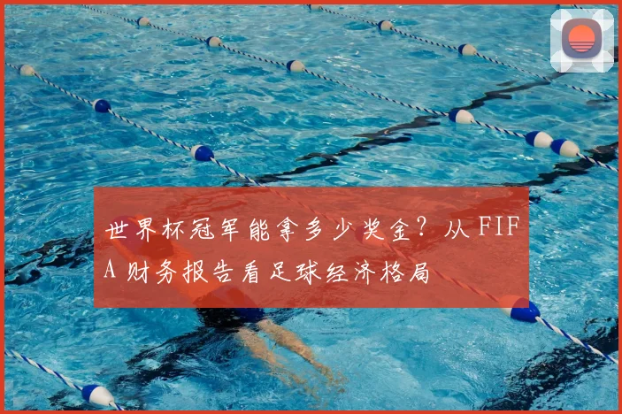 世界杯冠军能拿多少奖金？从 FIFA 财务报告看足球经济格局