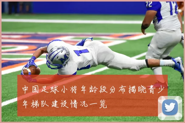 中国足球小将年龄段分布揭晓青少年梯队建设情况一览