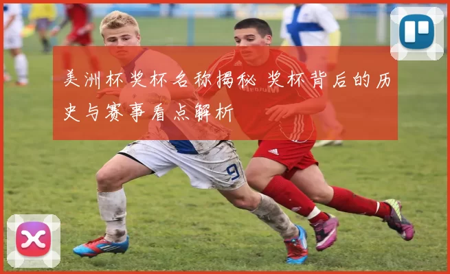 美洲杯奖杯名称揭秘 奖杯背后的历史与赛事看点解析