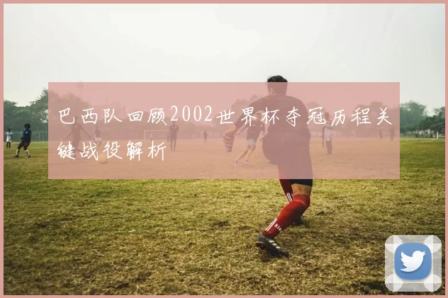 巴西队回顾2002世界杯夺冠历程关键战役解析