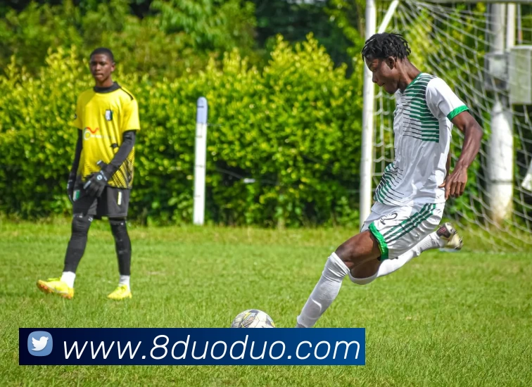 半岛网页版全站App